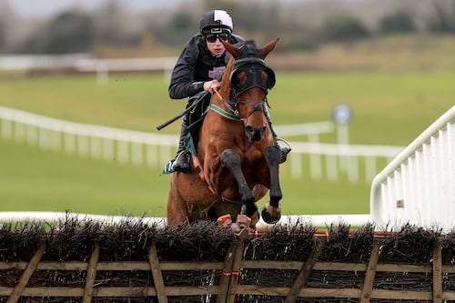 IHRB faces big task in untangling knotty problem of Redwood Queen unseat