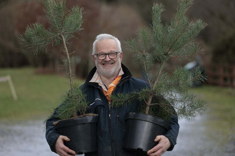 Zef Klinkenbergh, the tree man of Lough Dan.  Photograph: Nick Bradshaw