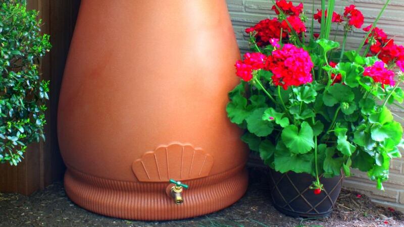 Instal water butts to collect rainwater from gutters (these can also be fitted to glasshouses and polytunnels)