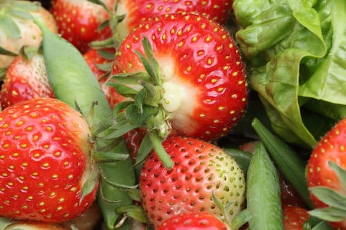Total Produce reports earnings rise but warns of challenges ahead