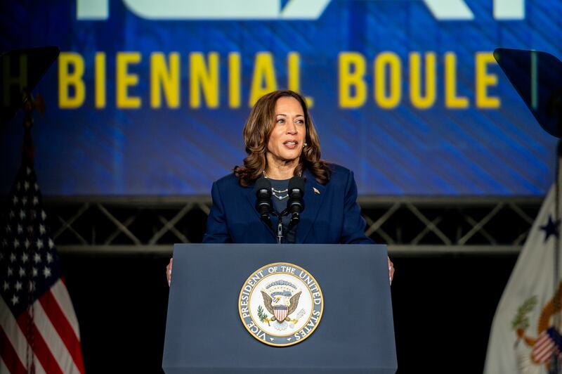 Kamala Harris has spoken extensively about growing up in what she described as a black community in Berkeley, California. Photograph: Brandon Bell/Getty Images