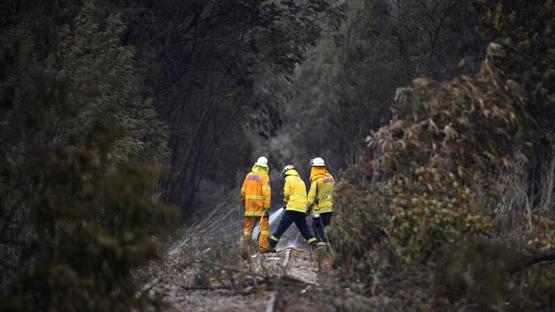 Rural Fire Service personnel hose down embers in the wake of recent catastrophic bushfires in the Southern Highlands village of Balmoral. Photo