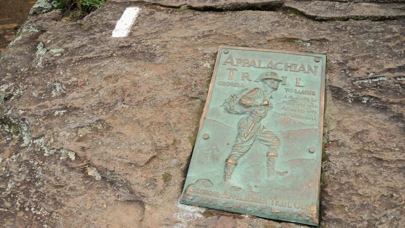 A white blaze mark at Springer Mountain, Georgia marking the Appalachian Trail. Photograph: Getty Images/iStock
