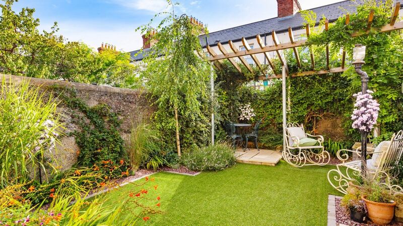 Back garden