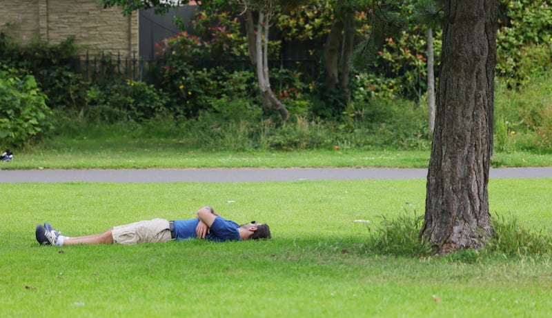 A man takes shelter from the heat under a tree in Herbert Park Ballsbridge, Dublin. Photo: Bryan O’Brien / The Irish Times