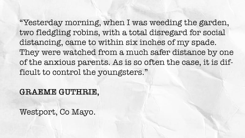 Letter to the Editor by Graeme Guthrie