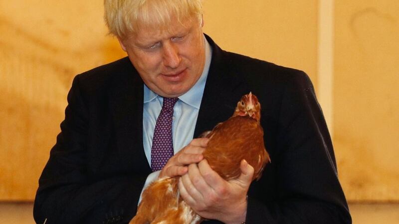 British prime minister Boris Johnson inspects poultry  at Shervington Farm, near Newport, Wales, on Tuesday. Photograph: Adrian Dennis/Getty Images