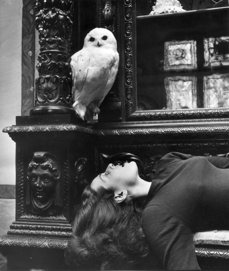 April 1950: Actress Agnes Bernelle, the wife of Desmond Leslie, relaxes in the Long Gallery of Glaslough Castle (Castle Leslie) after studying her lines. The castle is sometimes rented out to film-makers in order to help with the cost of its upkeep. Photo by Haywood Magee/Picture Post/Getty Images