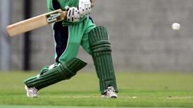 Hilary Fannin: You don’t need a pony to play cricket