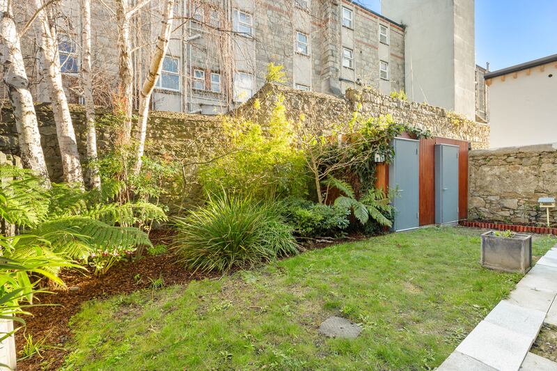 Back garden
