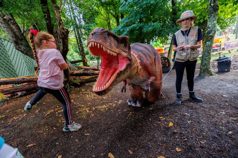 Lily Macauley (8) from Kilkenny pictured having a Roarrsome time at Jurassic Newpark. Photograph: Dylan Vaughan



