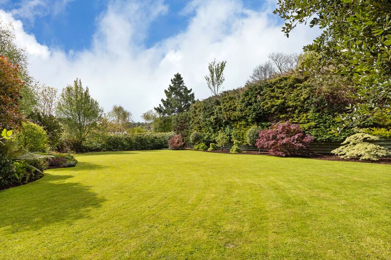 Back garden lawn