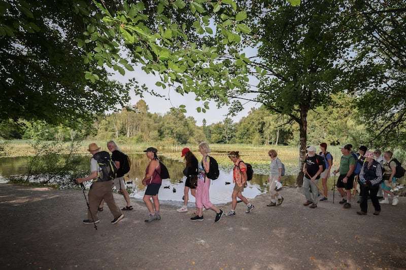 Irish Caminos: On Brigid’s Way, we learn that it is better to bend than break