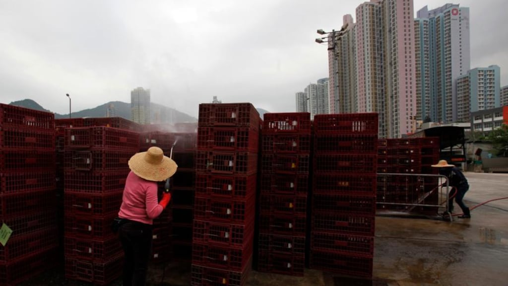 Workers clean empty cages, which were used to transport chickens, after morning trading at a wholesale poultry market in Hong Kong.