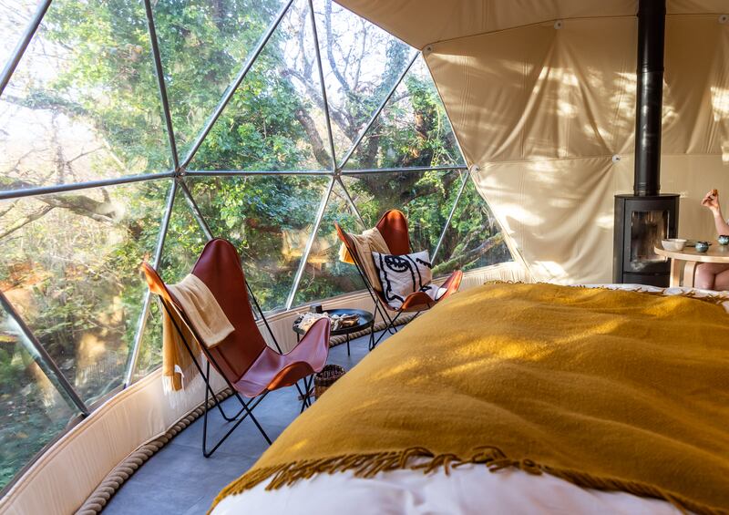 Fernwood Farm Forest Dome in Co Galway sits five metres off the woodland floor