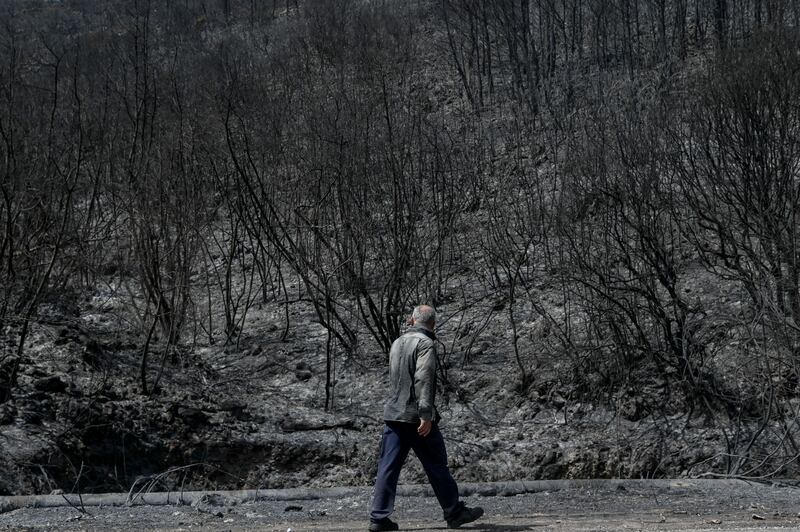 A man walks past a burned area after a fire near Kassiopi on the island of Corfu. Photograph: Armend Nimani/AFP via Getty