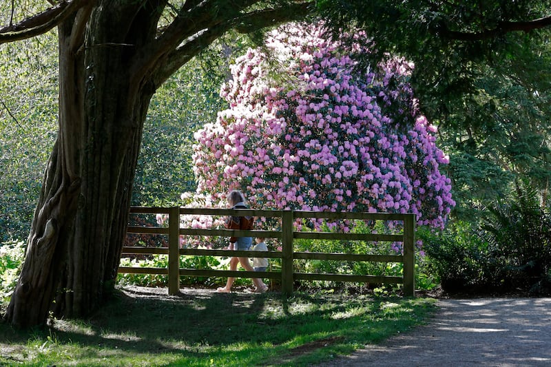 Visitors at the National Botanic Gardens, Kilmacurragh, Co Wicklow. Photograph: Nick Bradshaw