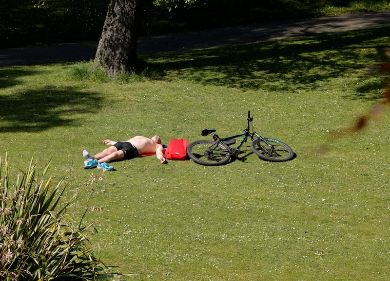 Enjoying the sunshine in Dublins Phoenix Park.  Photograph: Alan Betson

