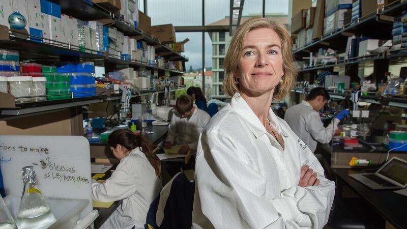 Jennifer Doudna, inventor of the revolutionary gene-editing tool Crispr, at the Li Ka Shing Center on the Campus of the University of California, Berkeley. Photograph: Nick Otto for the Washington Post via Getty