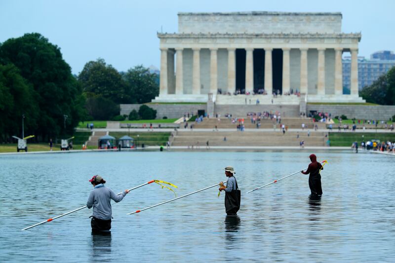 National Park Service employees and contractors use vacuums to remove green algae from the bottom of the Lincoln Memorial reflecting pool. Photograph: Chip Somodevilla/Getty Images
