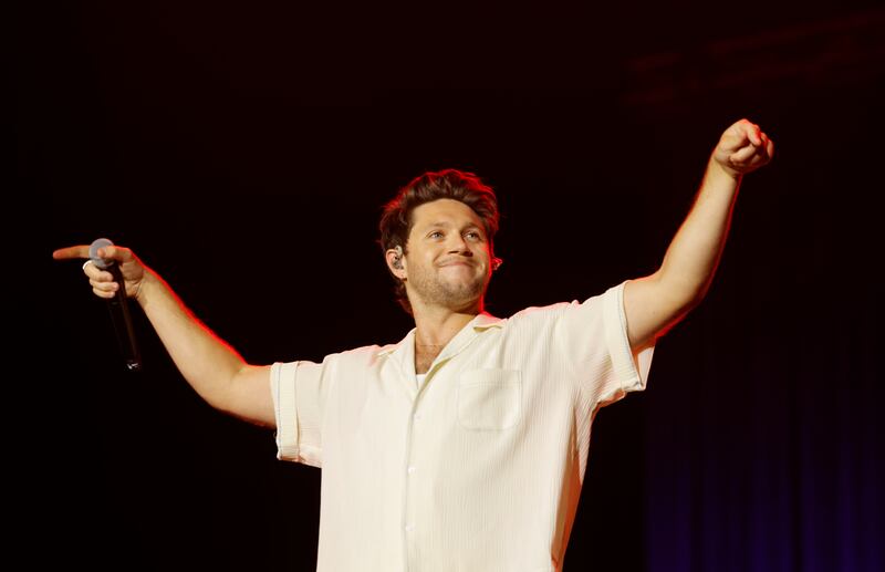 Electric Picnic: Niall Horan. Photograph: Alan Betson