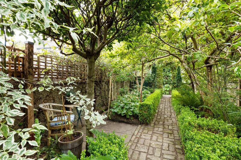 Back garden