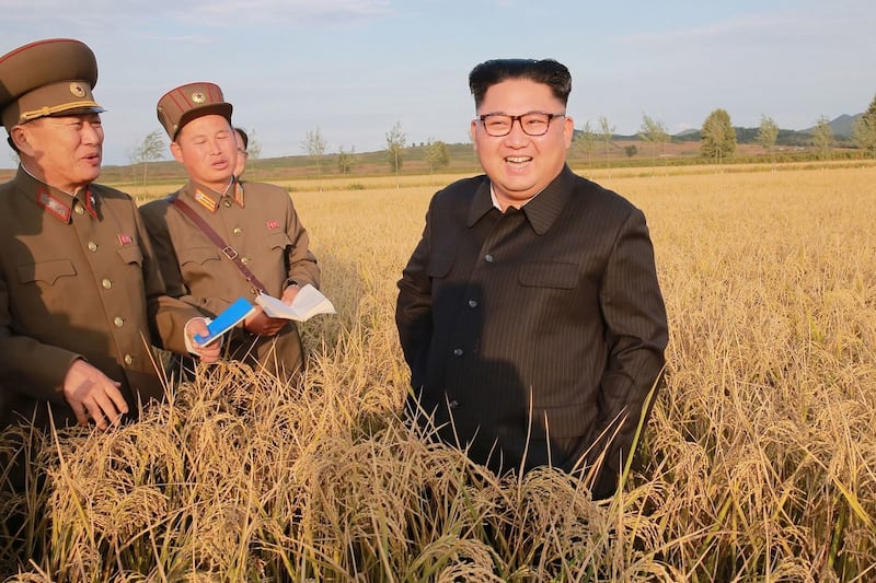 Trump tweet on North Korea clashes with claims of dialogue