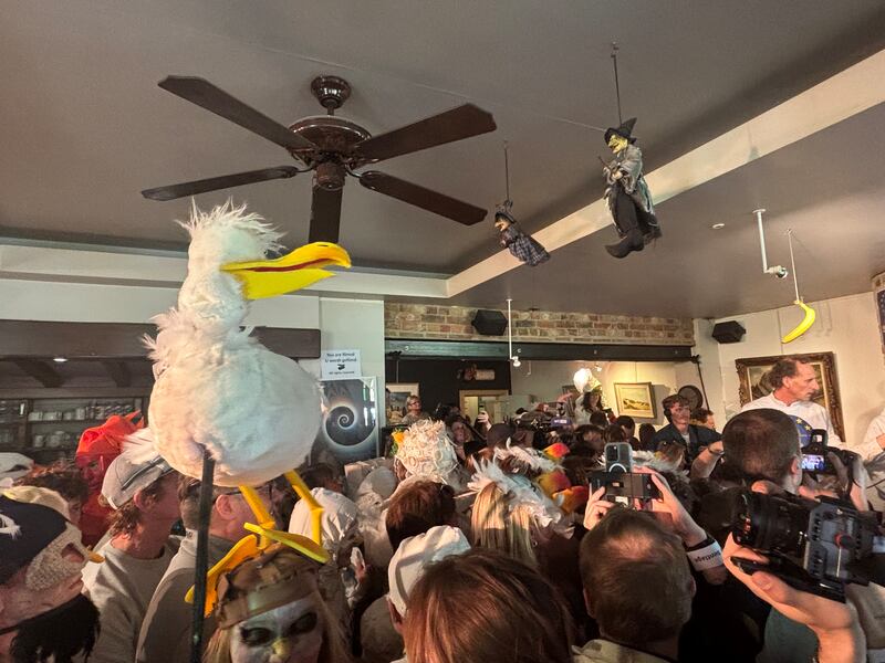 The European gull screeching championships in De Panne, Belgium. Photograph: Jack Power