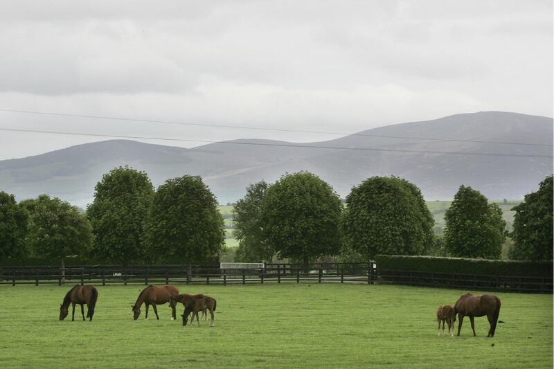 Tipperary emergency services preparing to ‘go back up and tackle’ wildfire on Slievenamon