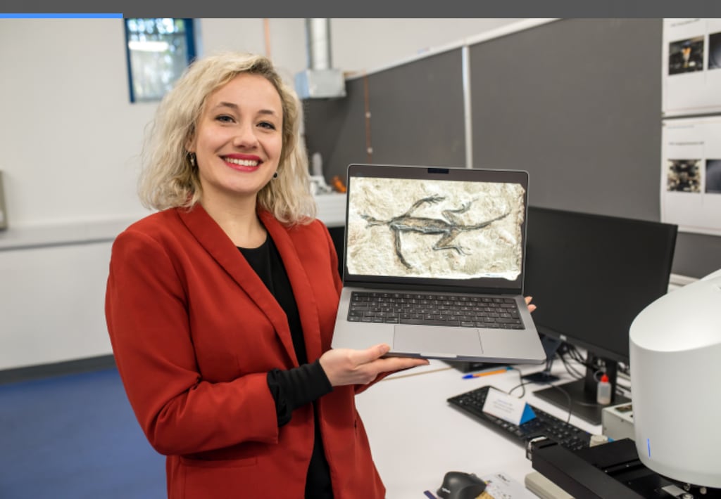 Dr Valentina Rossi of UCC who led the team that discovered a lizard fossil is in part a forgery. Photograph: Zixiao Yang