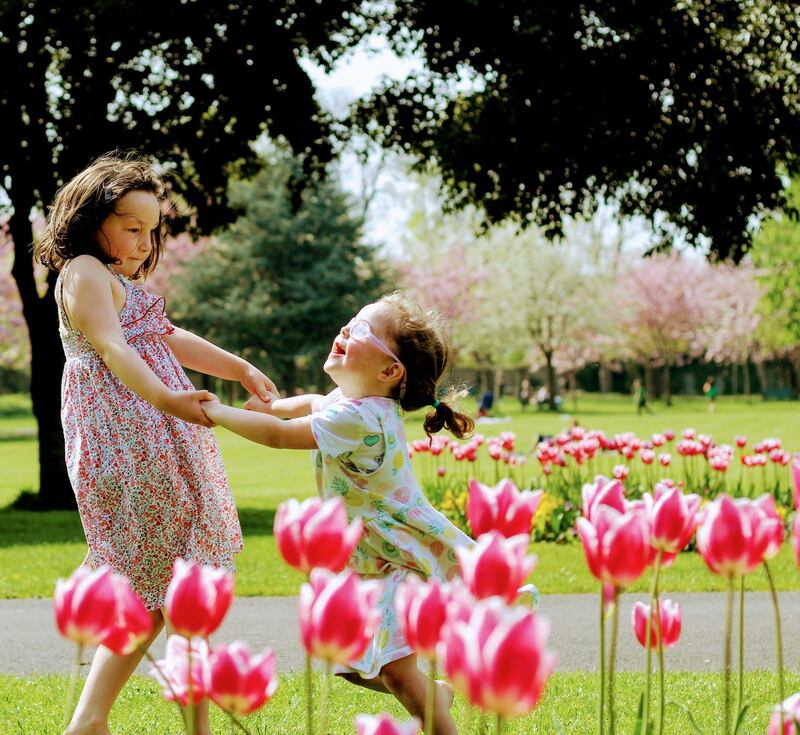 Summer Pix 2019: summer in Herbert Park, in Dublin. Photograph: Michelle Cullen