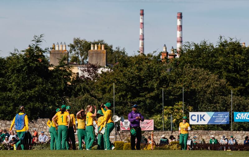South Africa celebrate an Irish wicket. Photograph: Oisín Keniry