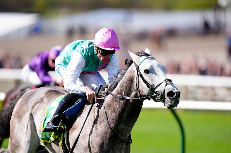 Field Of Gold, an unlucky runner-up to Ruling Court in the English 2,000 Guineas earlier this month is currently an odds-on favourite to go one better in next weekend’s €500,000 highlight at the Curragh. Photograph: Mike Egerton/PA 