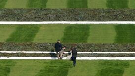 Aintree Grand National turns into publicity coup for fringe animal rights group