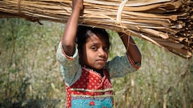 Excluding modern slavery from the supply chain