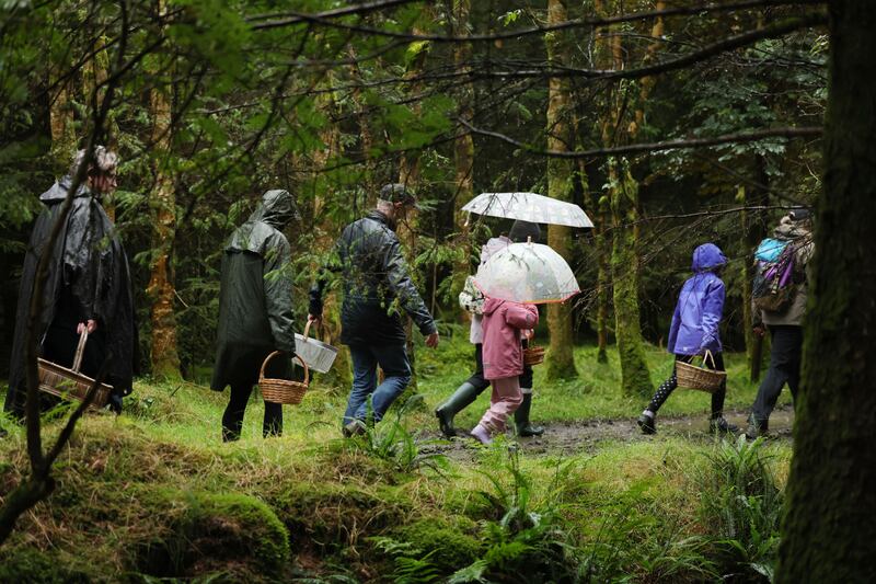 Enthusiasm among foragers for the hunt suggest 'fungophobic' attitudes are beginning to change. Photograph: Alan Betson