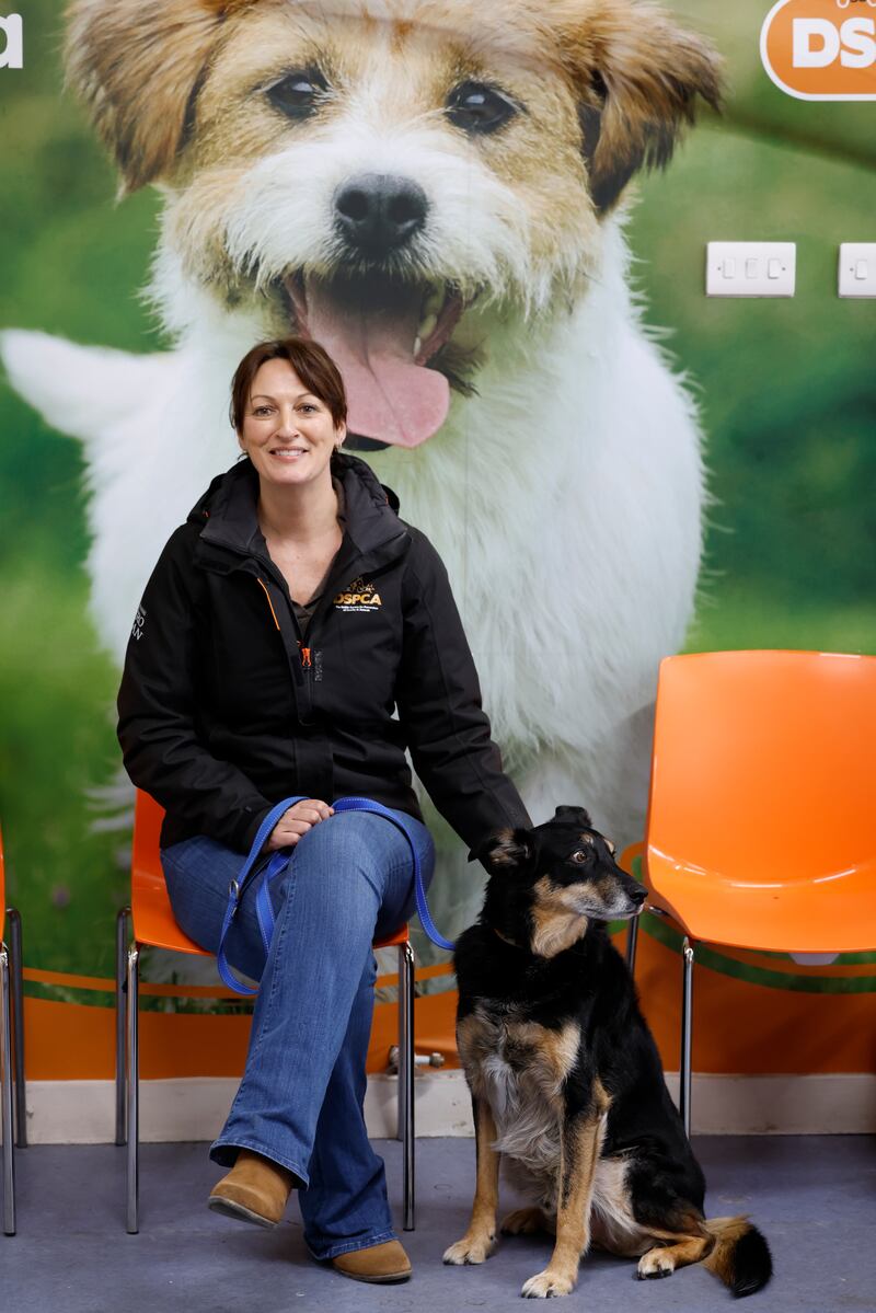 Suzanne McGovern, director of operations with the NSPCA, and Reggie. Photograph: Nick Bradshaw 
