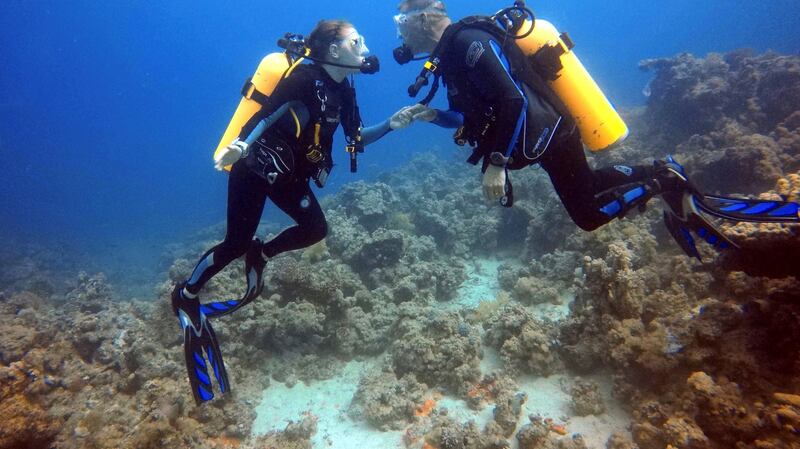 Tony and Tereza Crocock in happier days under the sea in Saudi Arabia