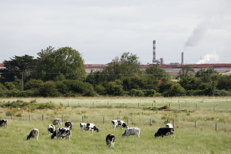 Farmers have blamed alleged leakage of heavy metals for abnormal levels of cattle deaths in the surrounding areas. These allegations are denied by the plant. Photograph: Nick Bradshaw