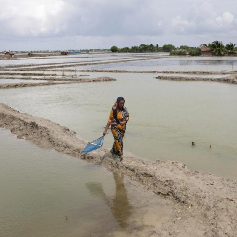 Climate change: Bangladesh is particularly vulnerable. Photograph: Probal Rashid/LightRocket via Getty