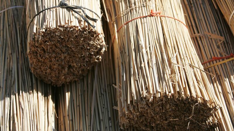 Bundled reeds ready for thatching a roof at the Fás thatching course in Portumna, Co Galway. Photograph: Frank Miller