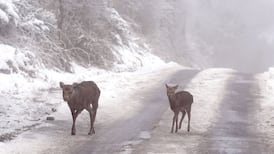 Ireland weather updates: New orange warning issued for low temperatures and ice from this evening