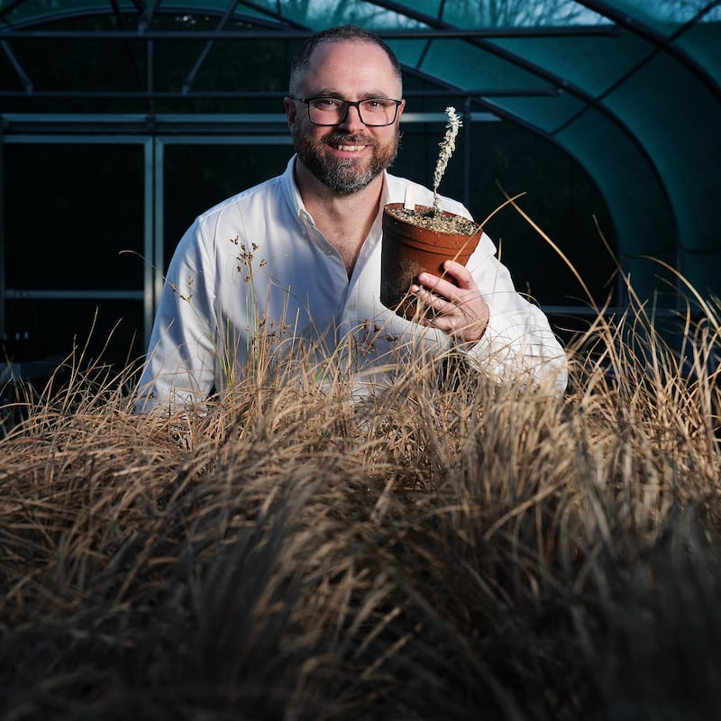 ‘It’s like Noah’s Ark’: The man saving every native seed in Ireland