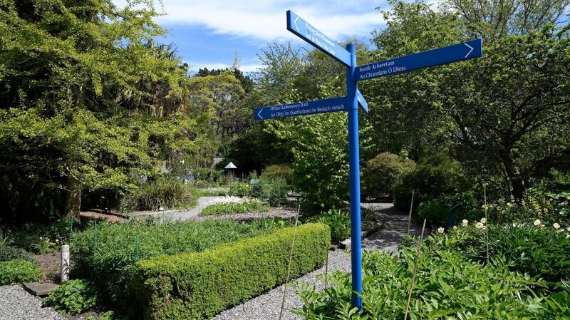 Trinity College Botanic Gardens, Dartry, Dublin 6