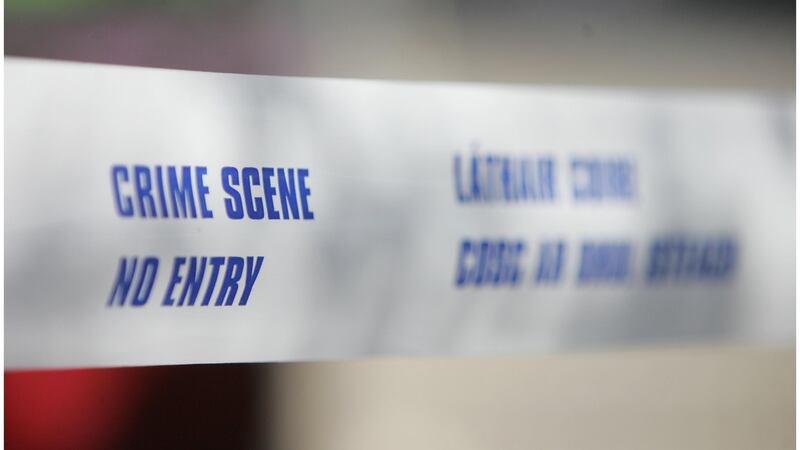 ‘The Garda figures only capture crimes reported by victims.’ Photograph: Bryan O’Brien