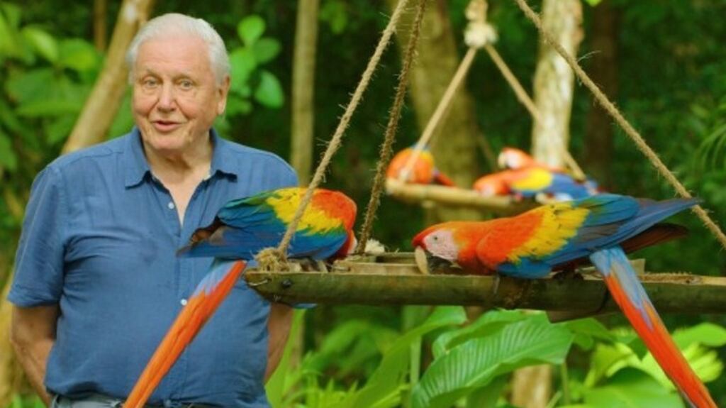 Life In Colour puts forward the thesis that colour has a key role in the evolution of life on the planet