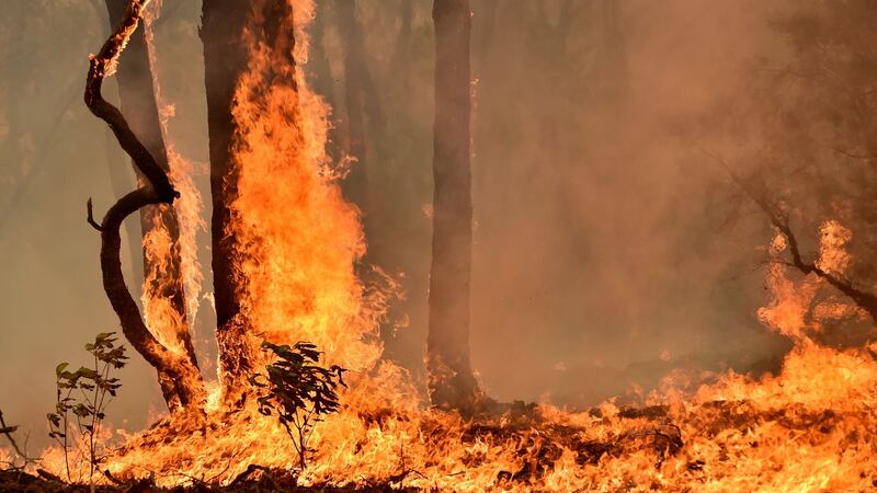 A bushfire burns on a property in Balmoral. Photograph: Getty