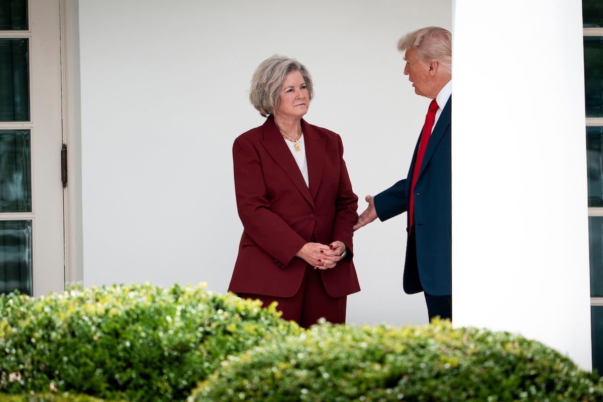 From ‘odd’ Musk to Trump’s ‘alcoholic personality’: key takeaways from interviews with US president’s chief of staff