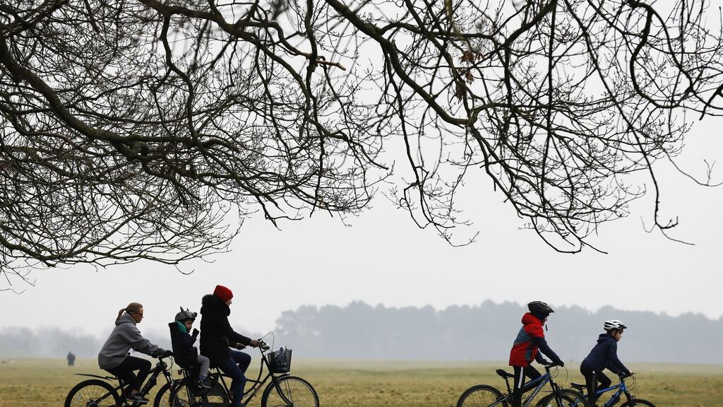 The report says road-use strategies should be used to promote cycling and public transport, and dissuade the use of cars. File photograph: Nick Bradshaw