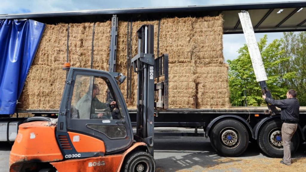 Fodder brought in from Brighton, England, is distributed to farmers affected by the fodder shortage in  Co Leitrim. Photograph: Eric Luke/The Irish Times